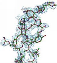 Ein Beispiel für ein Protein-Loop. Bei ca. 3A lassen sich bereits die meisten Seitenketten der Aminosäuren erkennen und teilweise auch modellieren.